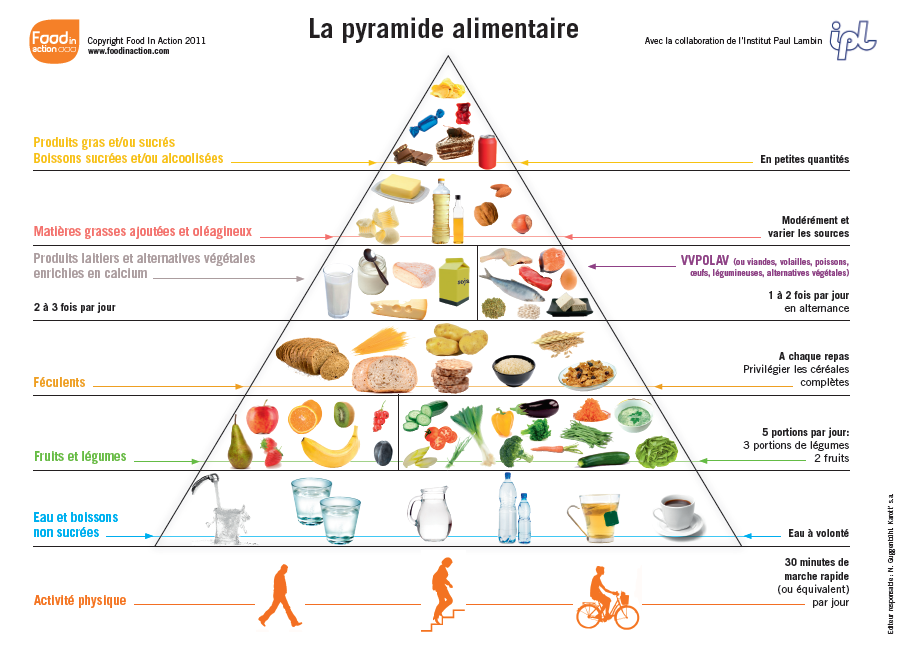 La pyramide alimentaire belge