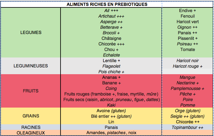 Aliments riches en prébiotiques