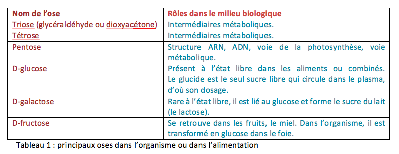 Glucides : les principaux oses dans l'organisme ou l'alimentation