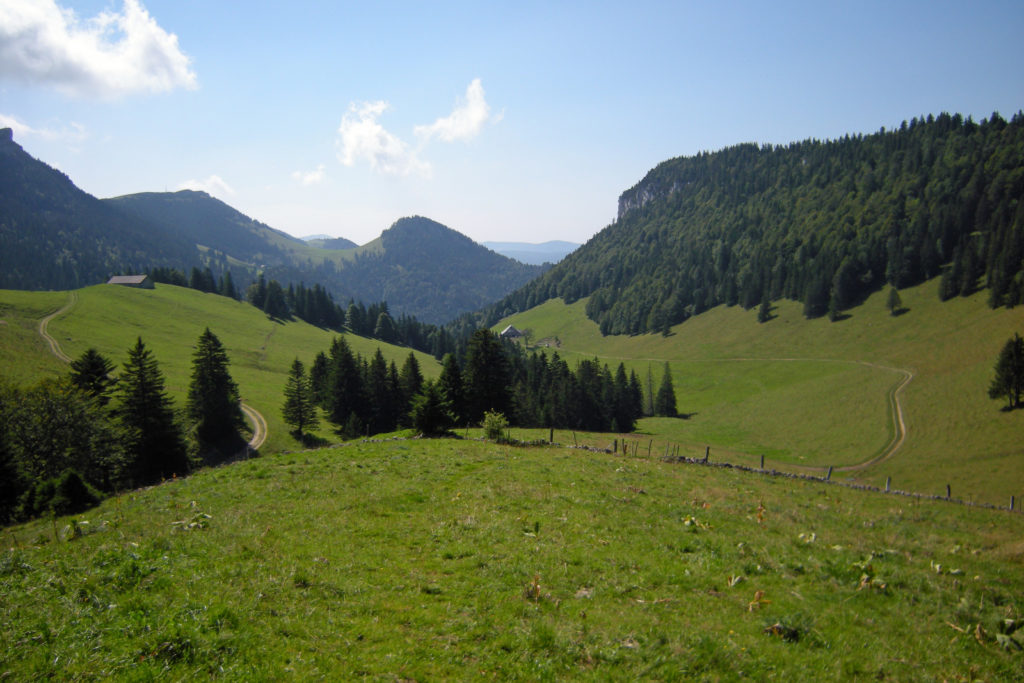 Les prés vallonnés de Franche-Comté