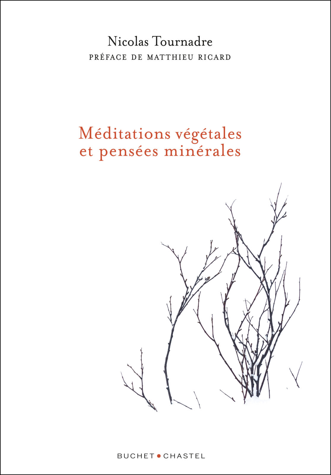 méditations végétales et pensées minérales