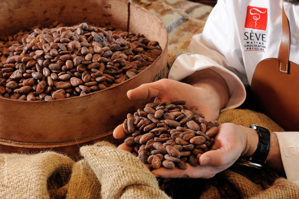 Les fèves de cacao de la maison Sève