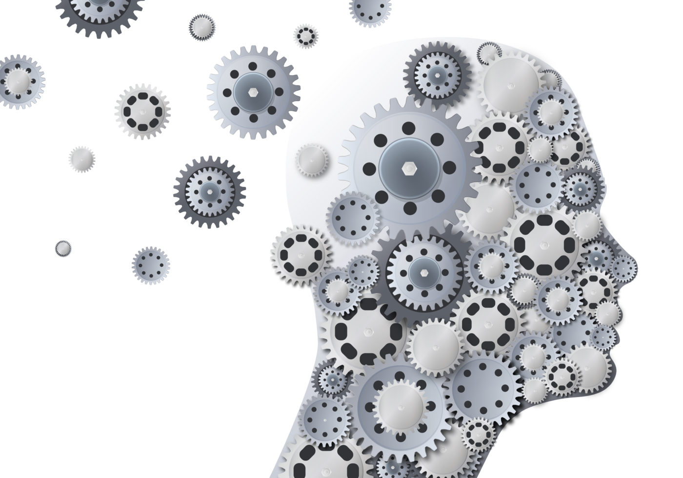 notre cerveau, une grosse tête ! 