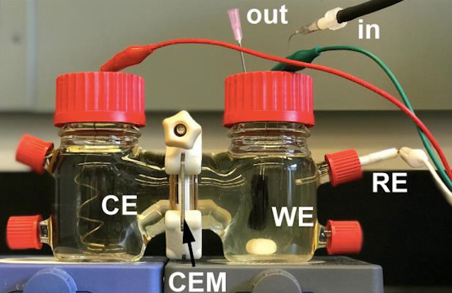 Une pile microbienne avec les bactéries électrogènes