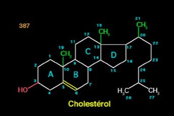structure d'une molécule de cholestérol